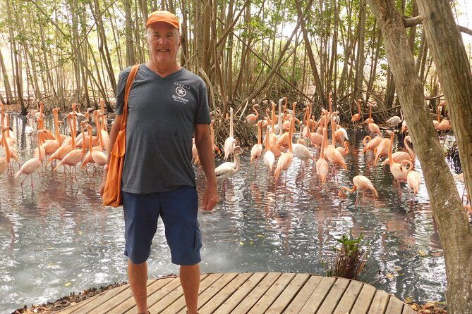 full-day-for-bird-watching-with-visit-to-isla-baru