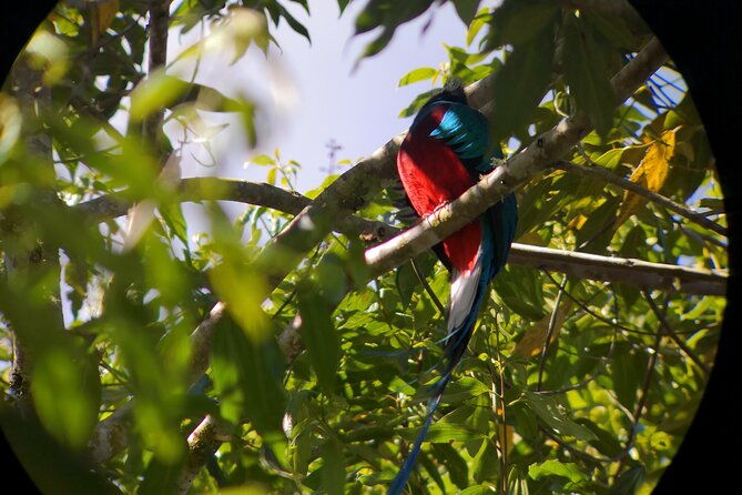 full-day-hiking-and-bird-watching-at-savegre-river-san-gerardo-near-to-san-jose
