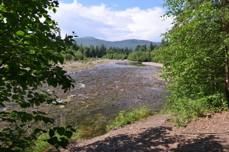 full-day-ice-museum-and-chena-hot-springs-tour