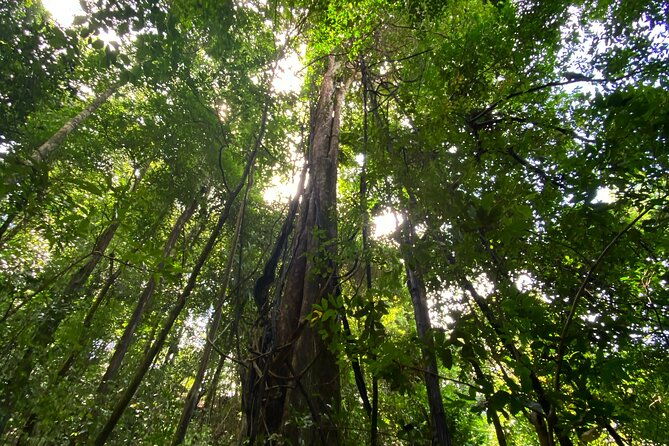 full-day-ocean-hike-tour-at-puntarenas