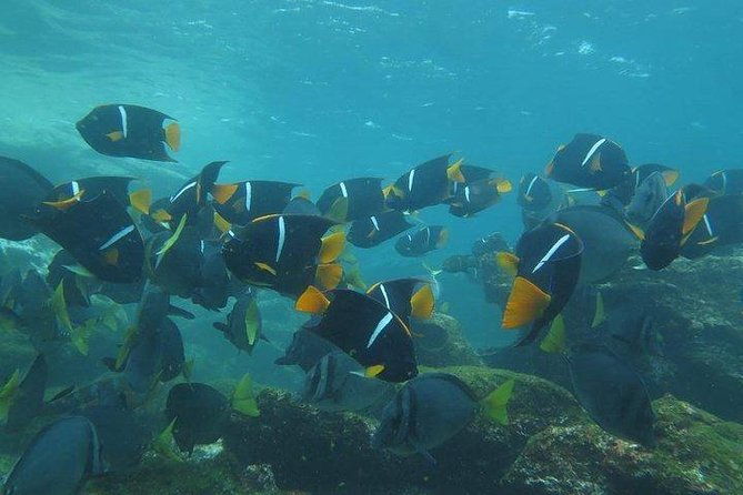 full-day-pinzon-island-finishing-in-la-fe-with-snorkeling-and-lunch-included