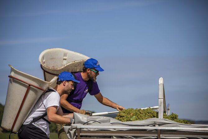 full-day-private-wine-tour-in-cote-de-beaune