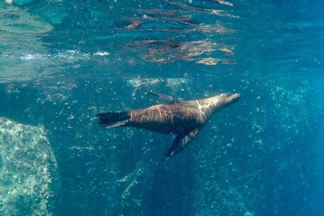 full-day-santa-fe-and-playa-escondida-with-snorkeling-and-lunch-included