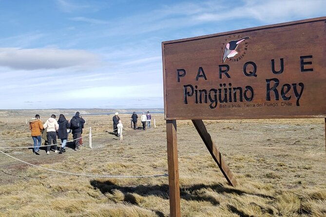 full-day-tierra-del-fuego-king-penguins