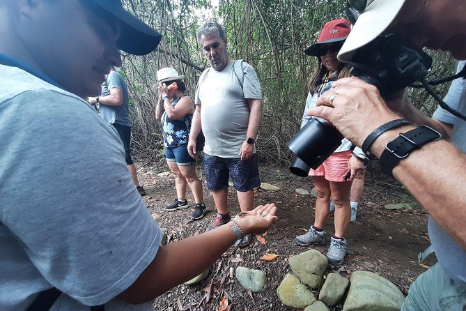 full-day-to-ecological-reserve-churute-mangrove