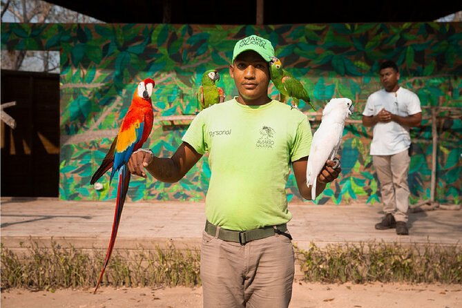 full-day-tour-aviary-with-beach-in-baru-with-lunch