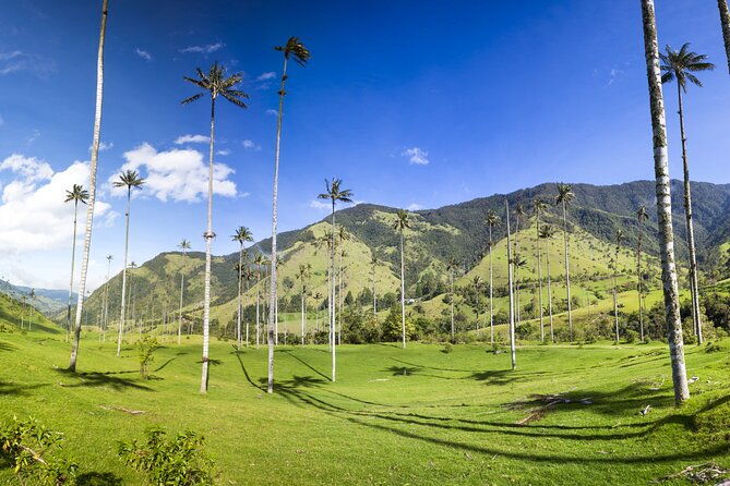 full-day-tour-of-cocora-valley-salento-and-filandia-coffee-town-from-salento