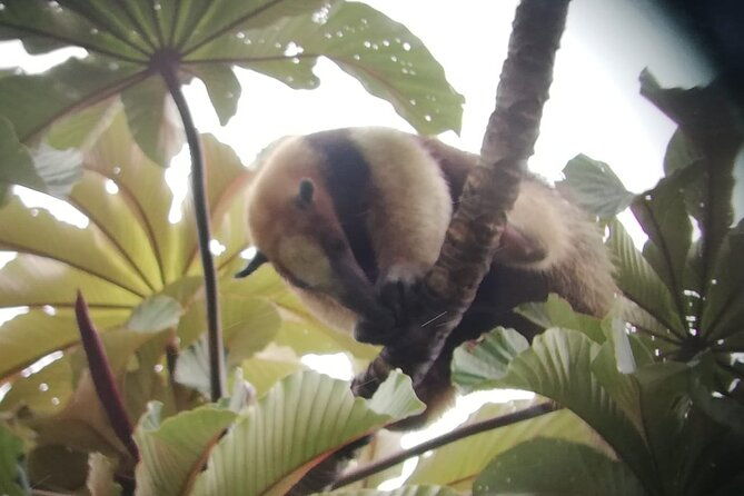full-day-tour-of-the-arenal-volcano-from-la-fortuna
