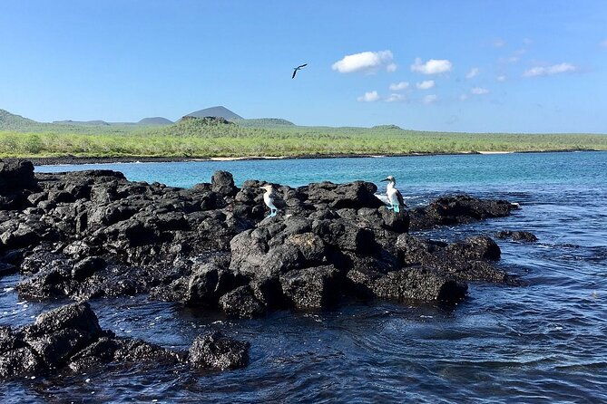 full-day-tour-to-floreana-island-cave-of-pirates