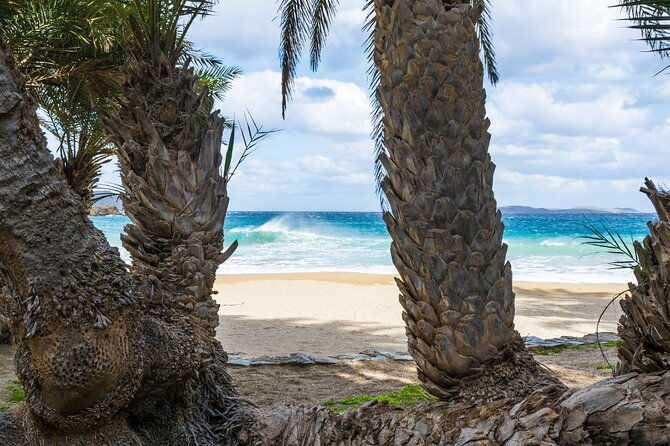 full-day-tour-to-vai-palm-beach-toplou-monastery-and-sitia-town