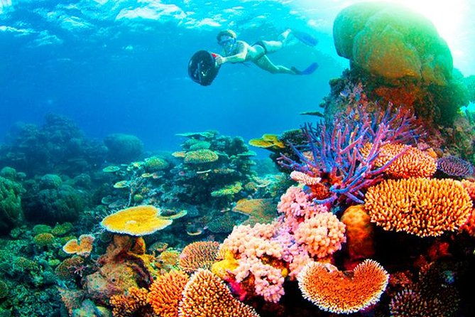 fun-catamaran-snorkeling-party-sightseeing-transportation