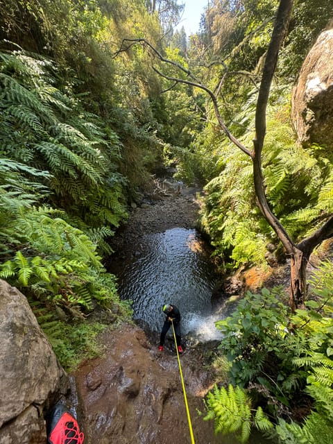 funchal-explore-canyoning-level-1-rochao
