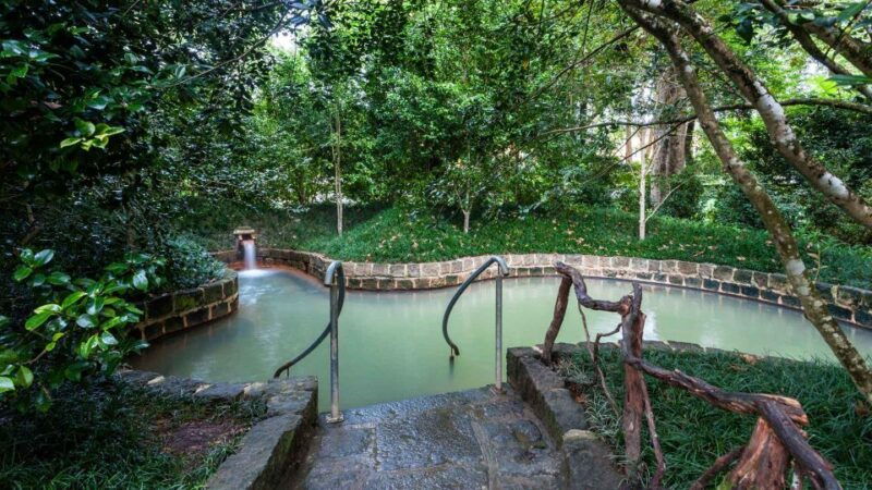 furnas-terra-nostra-botanic-park-guided-tour-w-hotsprings
