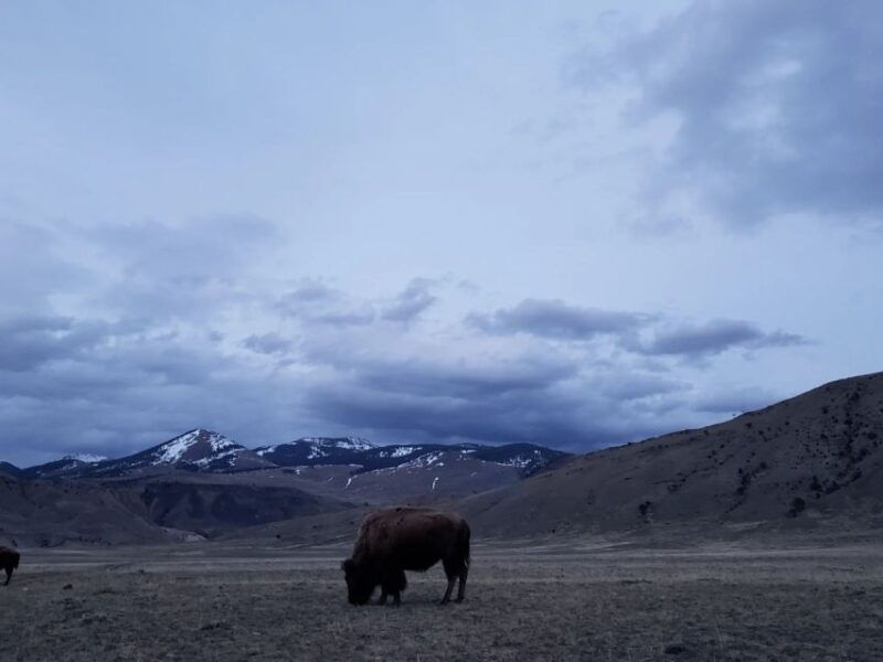 gardiner-yellowstone-national-park-half-day-guided-hike