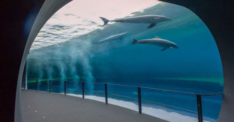 genoa-aquarium-and-fantacinema-combined-ticket