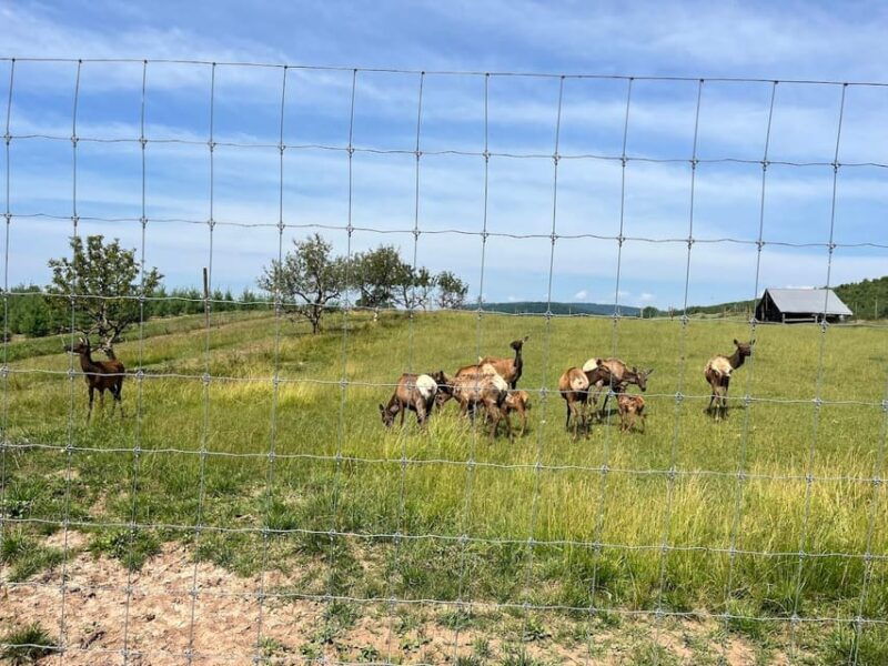 gettysburg-horse-drawn-carriage-tour-countryside-orchards