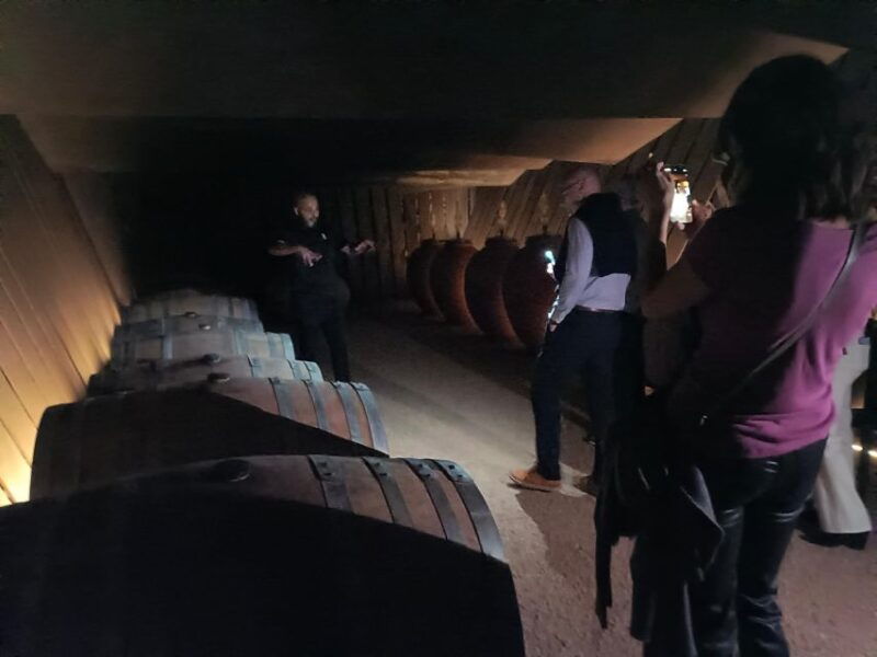 girona-local-wineries-tour-with-breakfast-and-wine-tasting