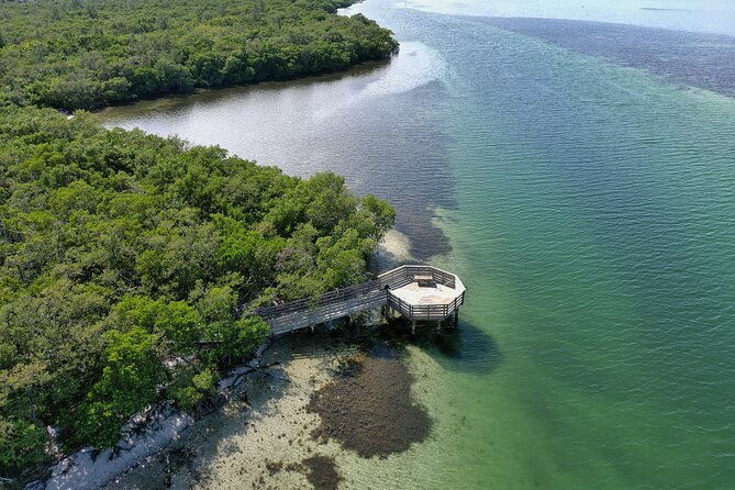 glass-bottom-kayak-mangrove-tunnel-sandbar-adventure-sarasota