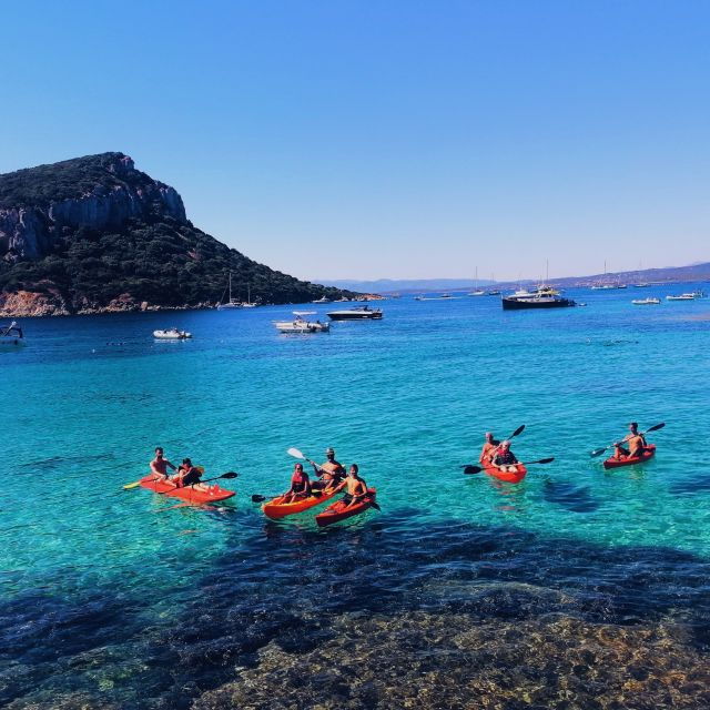 golfo-aranci-kayak-tour-with-dolphins-and-aperitif