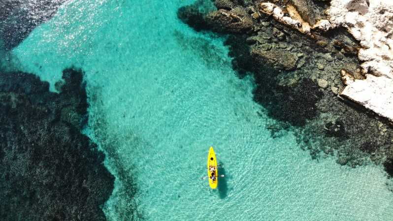 golfo-aranci-small-group-kayak-tour-with-aperitif-dolphins