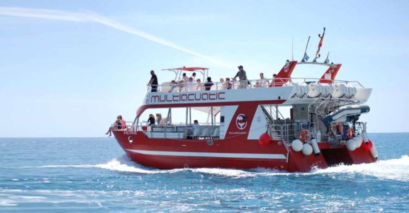 gran-canaria-dolphin-and-whale-watching-cruise-2
