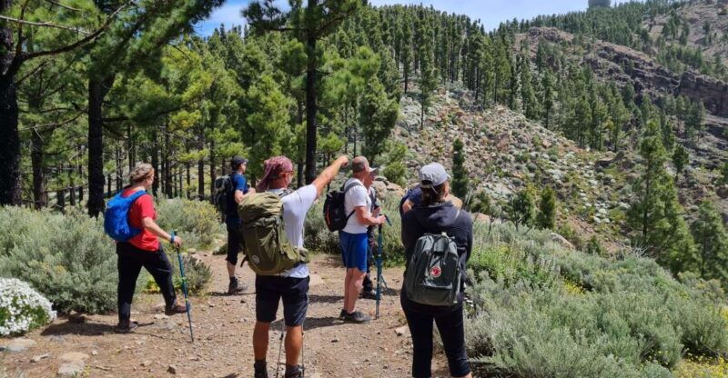 gran-canaria-peaks-of-gran-canaria-hiking-tour
