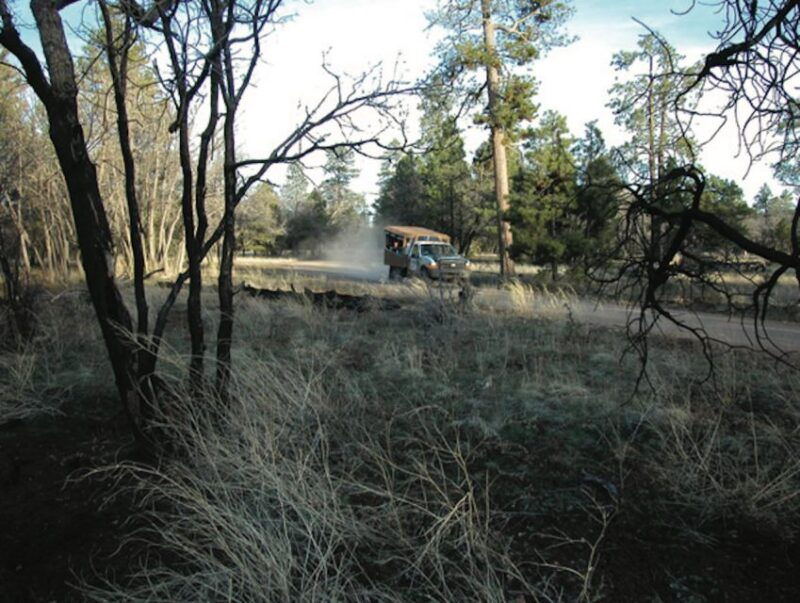 grand-canyon-off-road-sunset-safari-with-skip-the-gate-tour