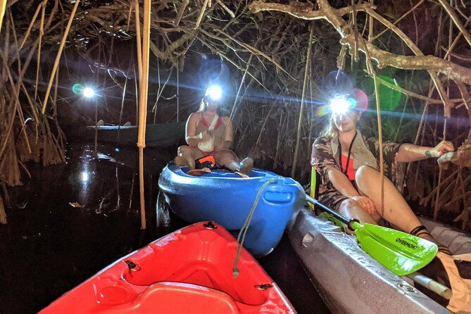 guided-bioluminescence-night-kayaking-adventure-in-belize
