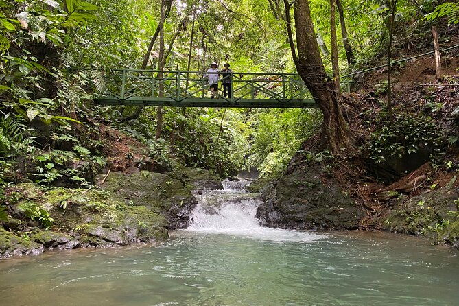 guided-hiking-tour-by-the-mystic-ebano-rainforest-in-costa-rica