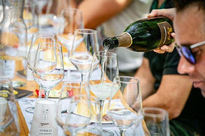 guided-tour-and-wine-tasting-5-wines-to-discover-the-conegliano-valdobbiadene