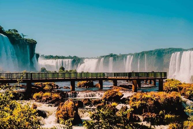 guided-tour-brazilian-falls-and-bird-park-exploration