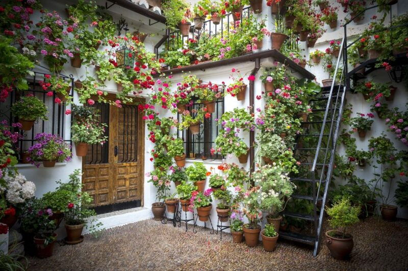 guided-tour-in-spanish-to-the-courtyards-of-cordoba