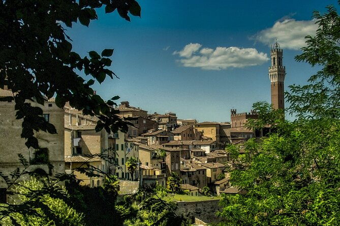 guided-walking-tour-of-the-streets-of-siena-with-aperitif