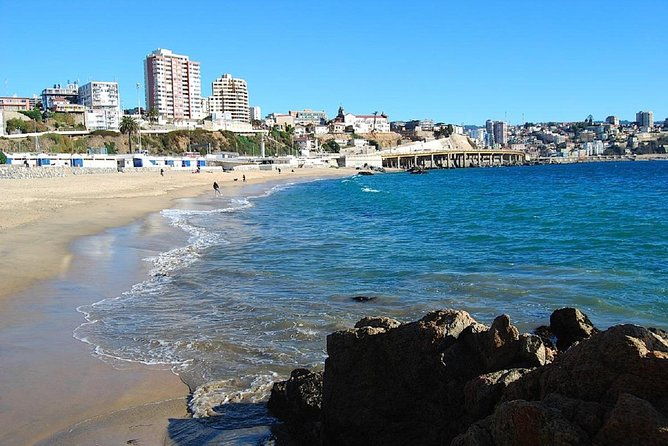 half-day-chilean-pacific-coast-tour-vina-del-mar-renaca-and-concon