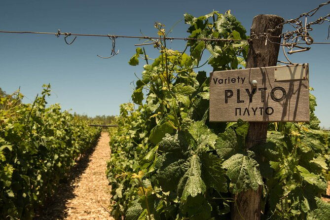 half-day-private-tour-in-two-wineries-and-archanes-from-heraklion