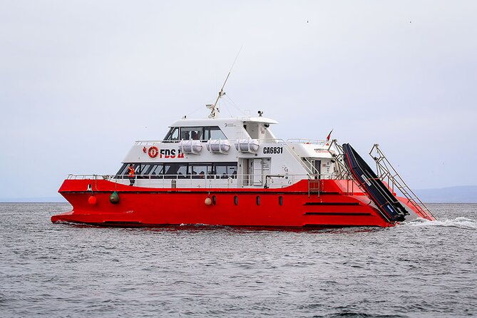half-day-sailing-magdlena-island-penguin-colony-p-arenas-october-to-march-only