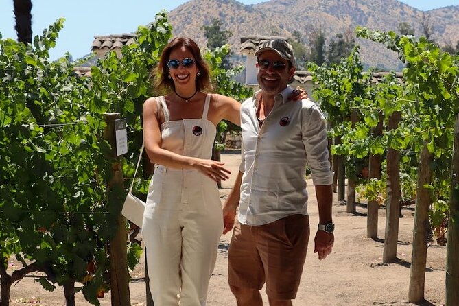 half-day-santa-rita-and-undurraga-winery-tasting-tour-in-santiago