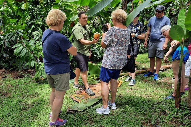 half-day-tour-with-safari-float-and-chocolate-experience