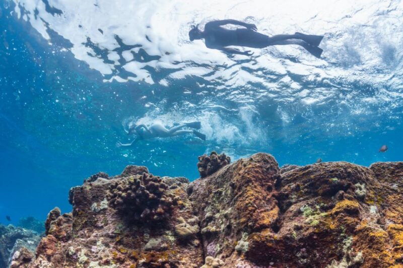 hawaii-puuhonua-o-honaunau-kealakekua-bay-snorkel-tour