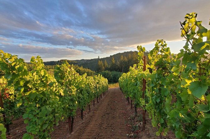 heart-of-willamette-winery-pass-wine-tastings-and-discounts