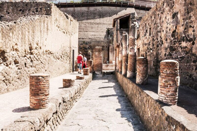 herculaneum-guided-walking-tour-with-entry-ticket