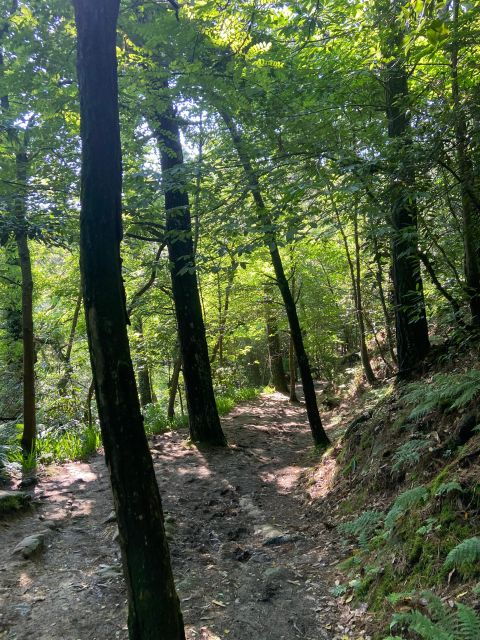 hike-ulia-san-sebastian-el-camino-de-santiago-the-way