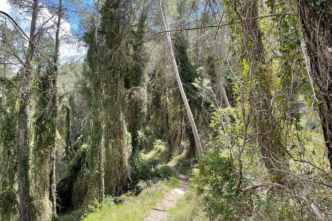 hiking-in-montanejos-and-swim-in-thermal-springs-official-guide