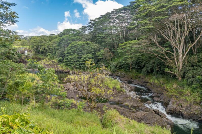 hilo-gardens-waterfalls-farmers-market-shore-excursion