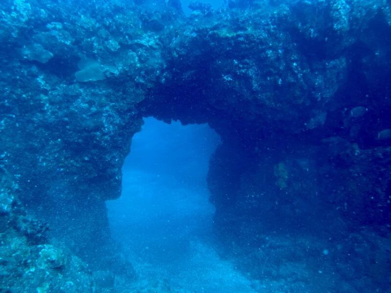 hilo-night-dive-for-certified-divers