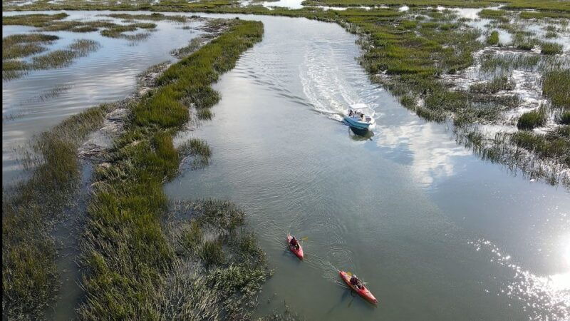 hilton-head-2-hour-private-dolphin-tour