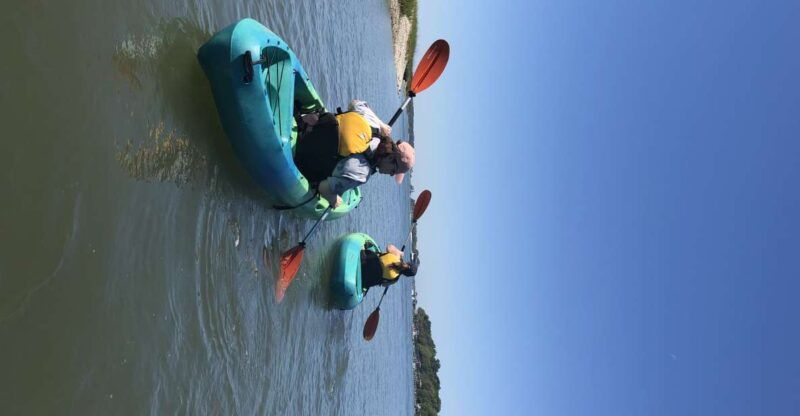 hilton-head-island-1-5-hour-guided-small-group-kayak-tour