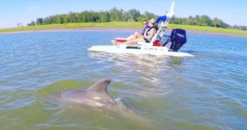 hilton-head-island-2-hour-guided-creek-cat-tour