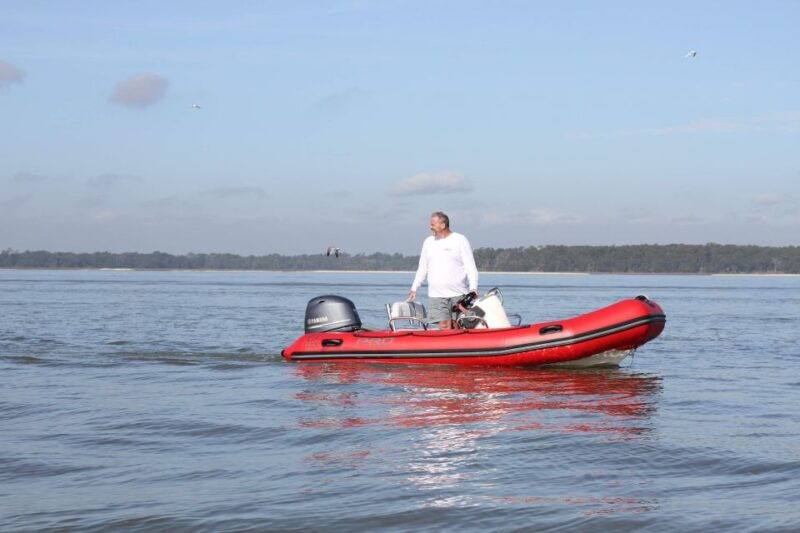 hilton-head-island-mini-boat-dolphin-tour