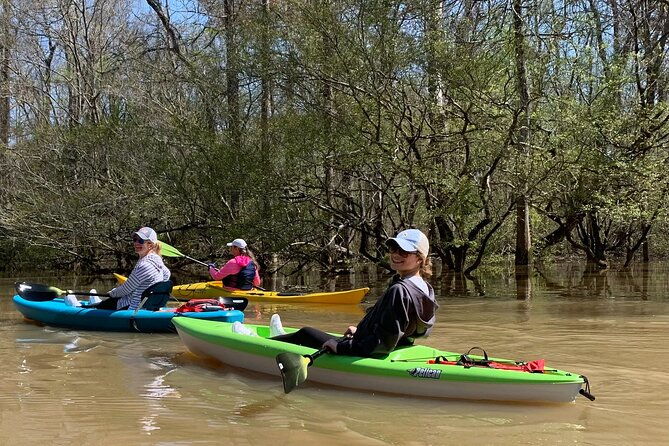 historical-scenic-bayou-swamp-water-trail-kayak-tour